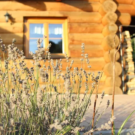 Ranch Bystra Lodge Bystrá nad Jizerou